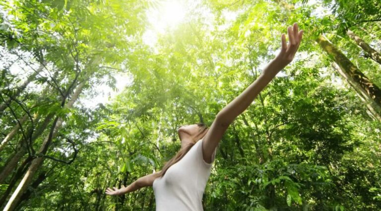 Conexão com a natureza